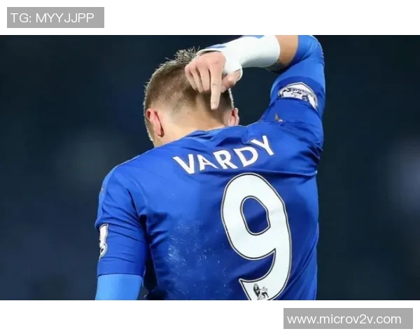 小鲨鱼在足球界的传奇故事与成就揭秘